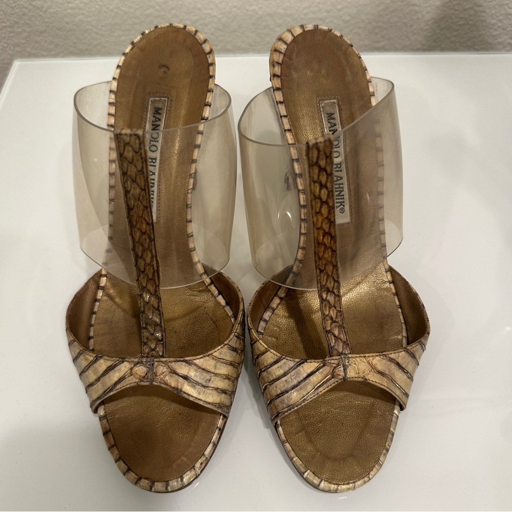 Manalo Blahnik Heels